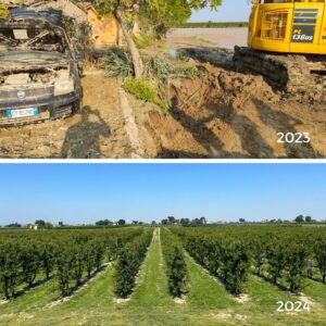 alluvione e fango