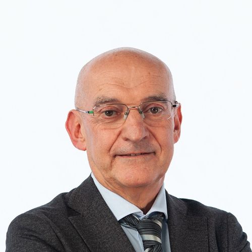 Massimo Fabi