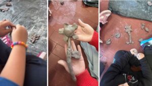 Terra Canta Progetto bambini